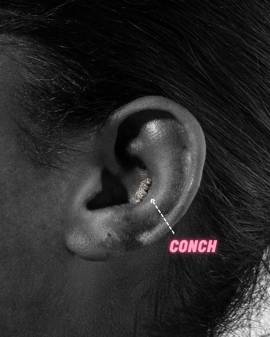 CONCH