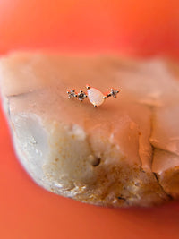 Opal & 3 Diamond Cluster Curve Yellow Gold Stud