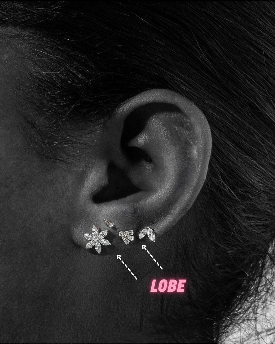 LOBE