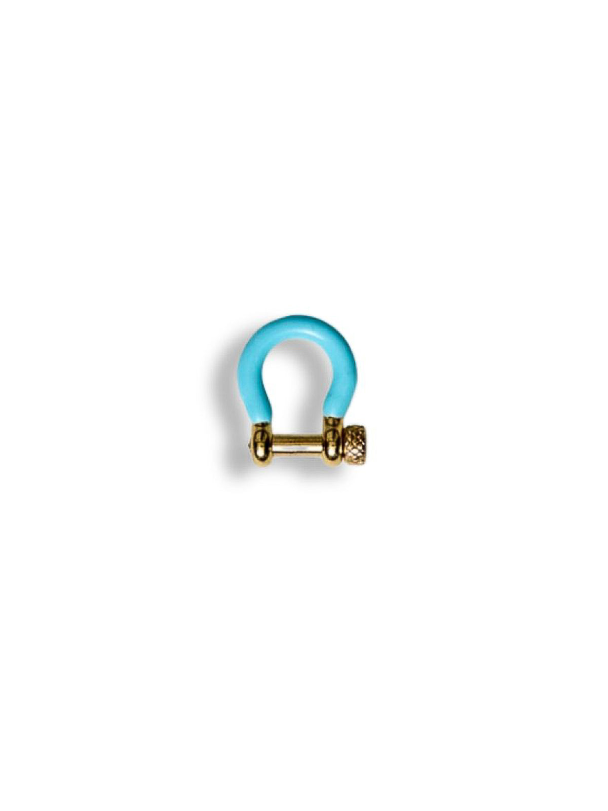 Light Blue Carabiner