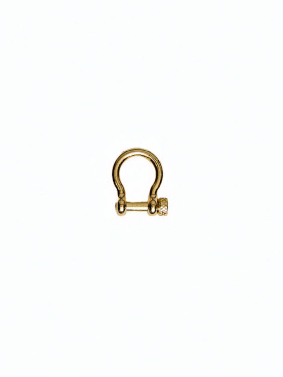 Gold Carabiner