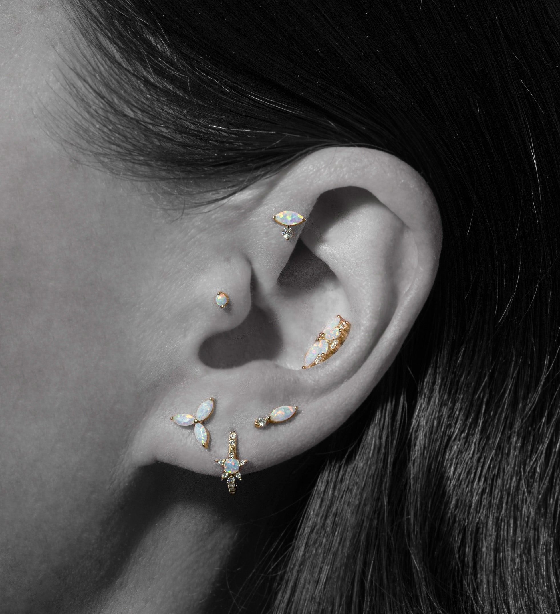 Jewelry for ear piercing and body piercing on white background